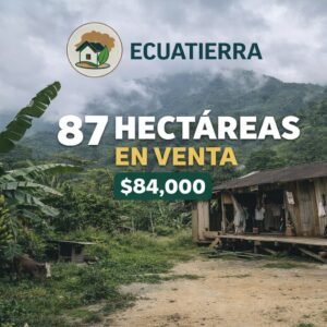 Finca de 87 Hectareas