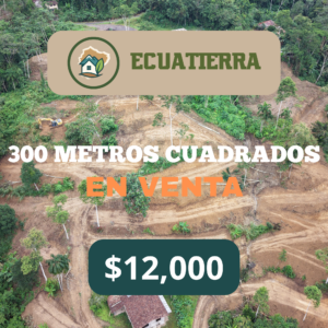 Lotes de 300 m²