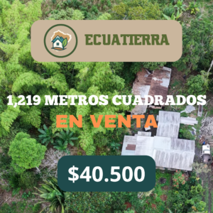 Lote de 1,219 m²