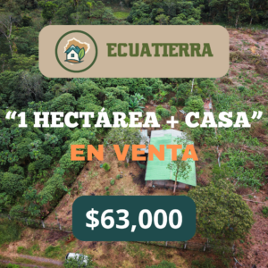 1 hectárea con Casa