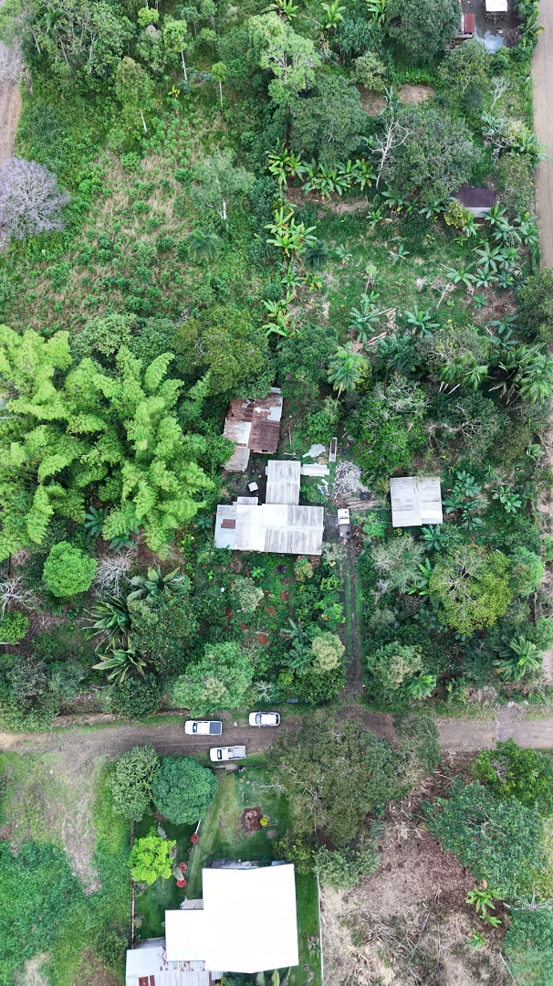 Lote de 1,219 m² - Imagen 2