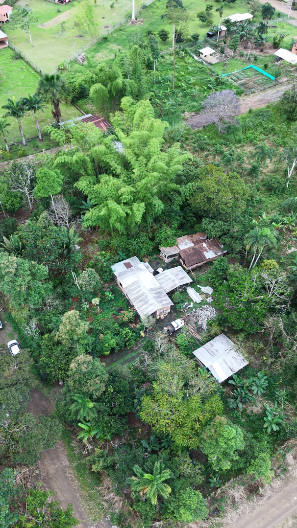 Lote de 1,219 m² - Imagen 5