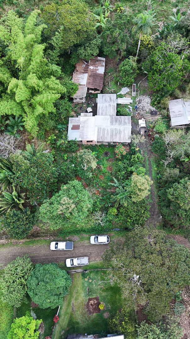 Lote de 1,219 m² - Imagen 6