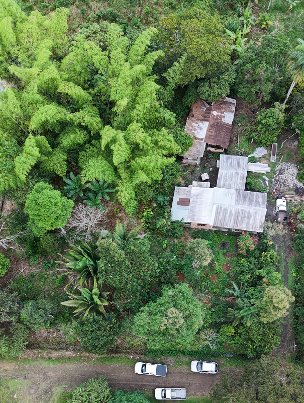 Lote de 1,219 m² - Imagen 3