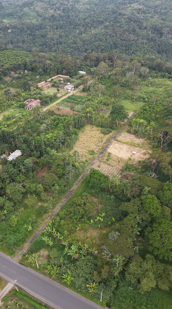 Lote de 1,102 m² - Imagen 4