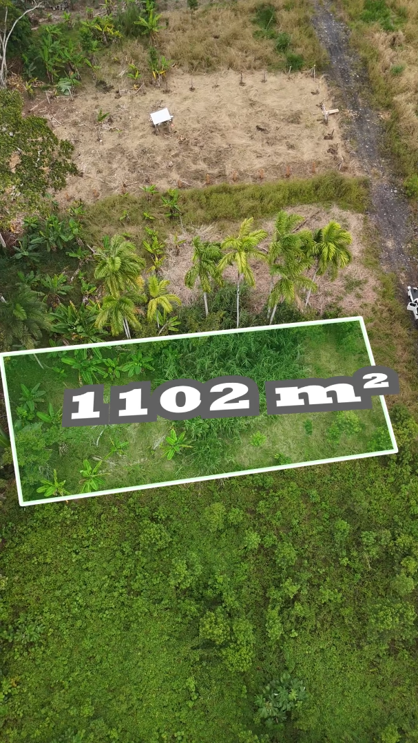 Lote de 1,102 m² - Imagen 2