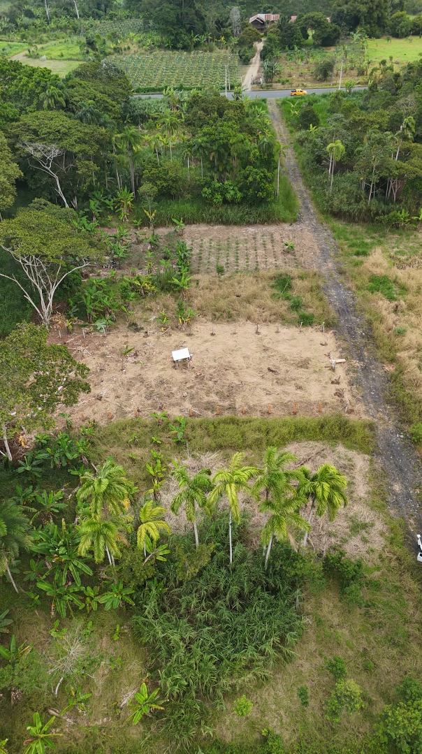 Lote de 1,102 m² - Imagen 8