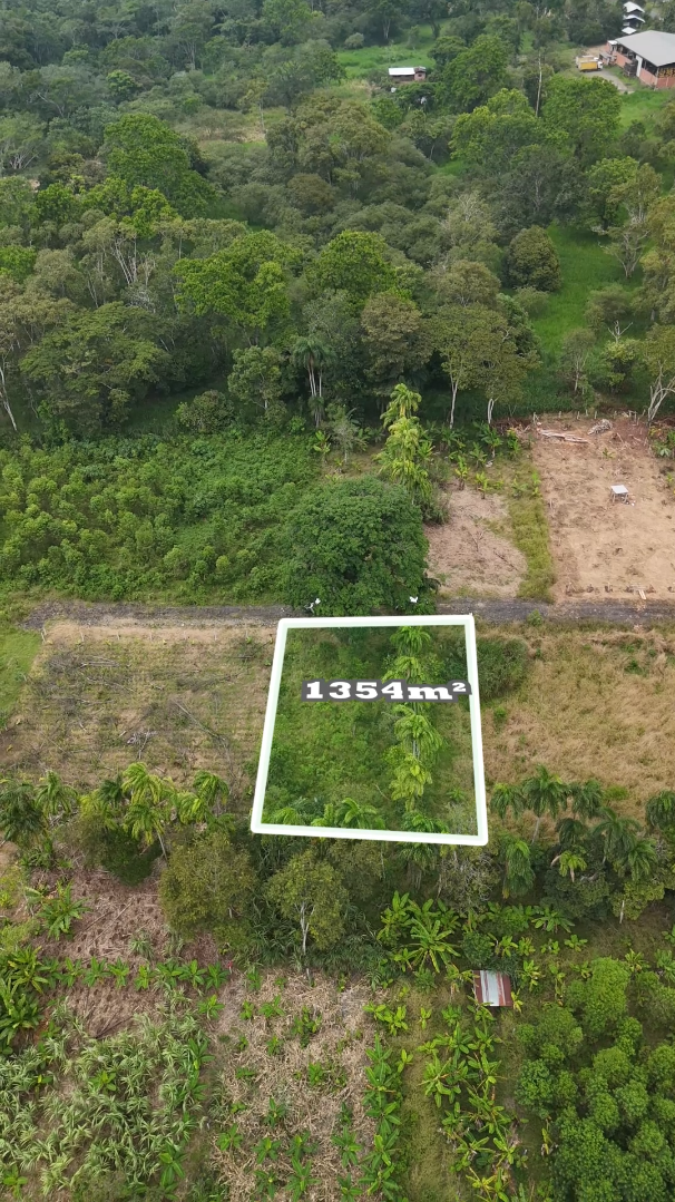 Lote de 1354 m² - Imagen 5