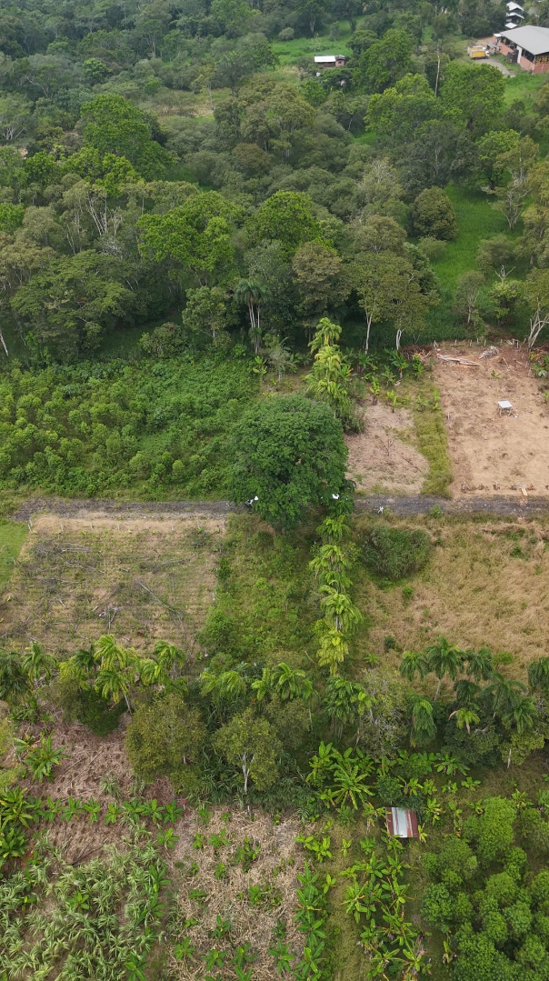 Lote de 1354 m² - Imagen 3