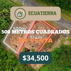Lote de 500 m²