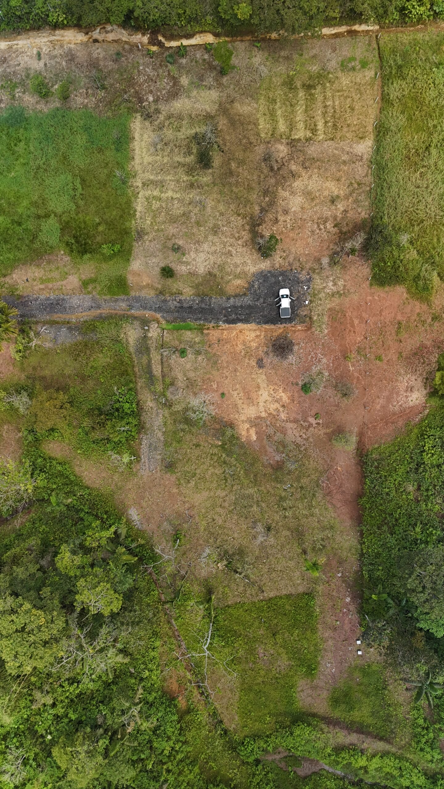 Lotes de 1000 m² - Imagen 7