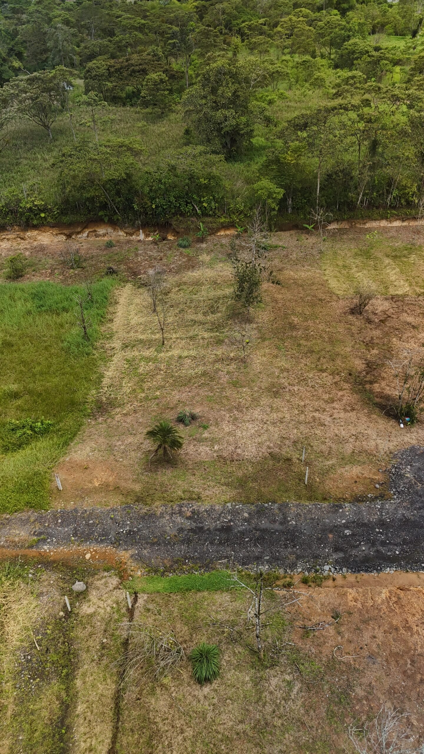 Lotes de 1000 m² - Imagen 10