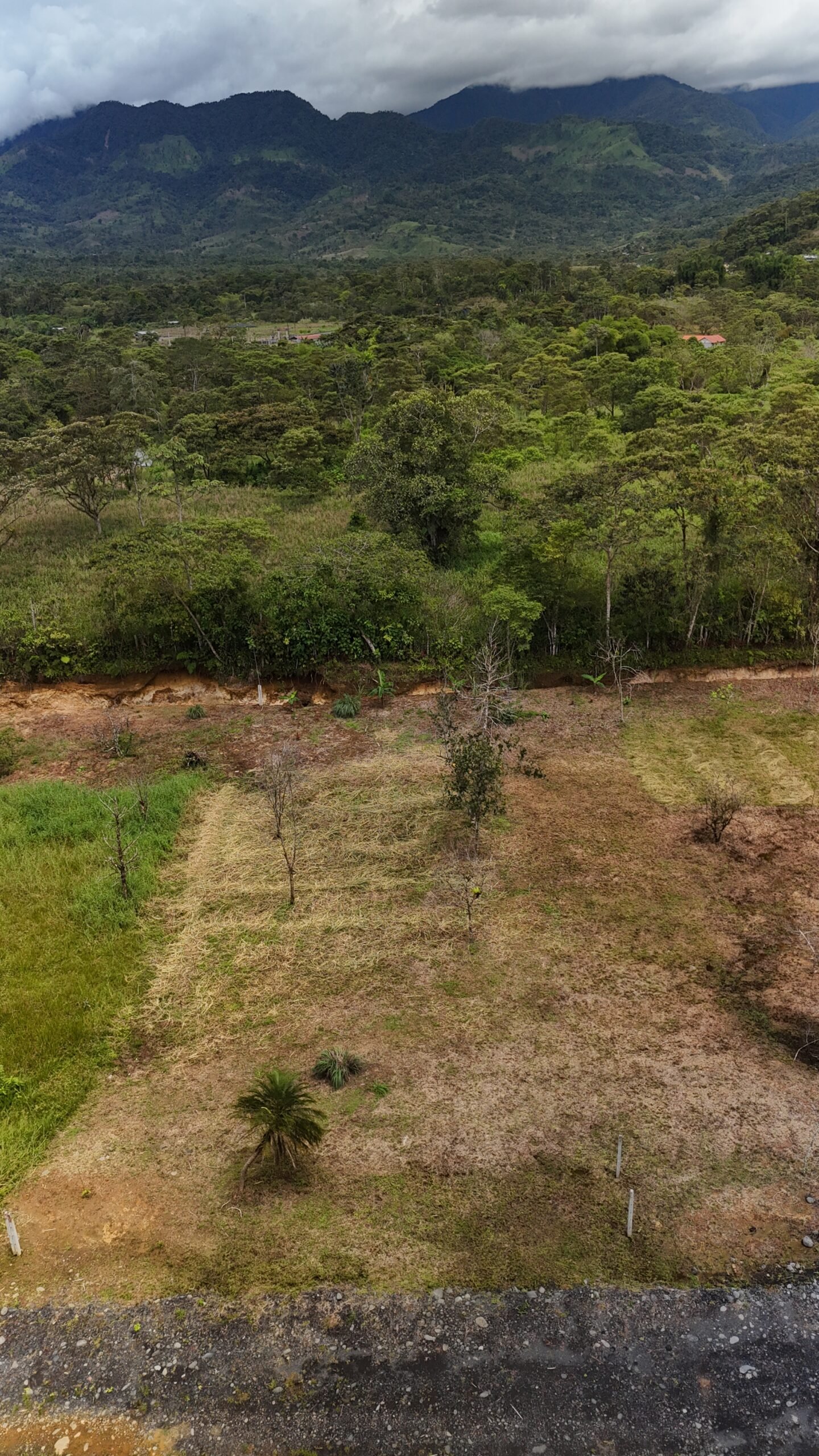 Lotes de 1000 m² - Imagen 4