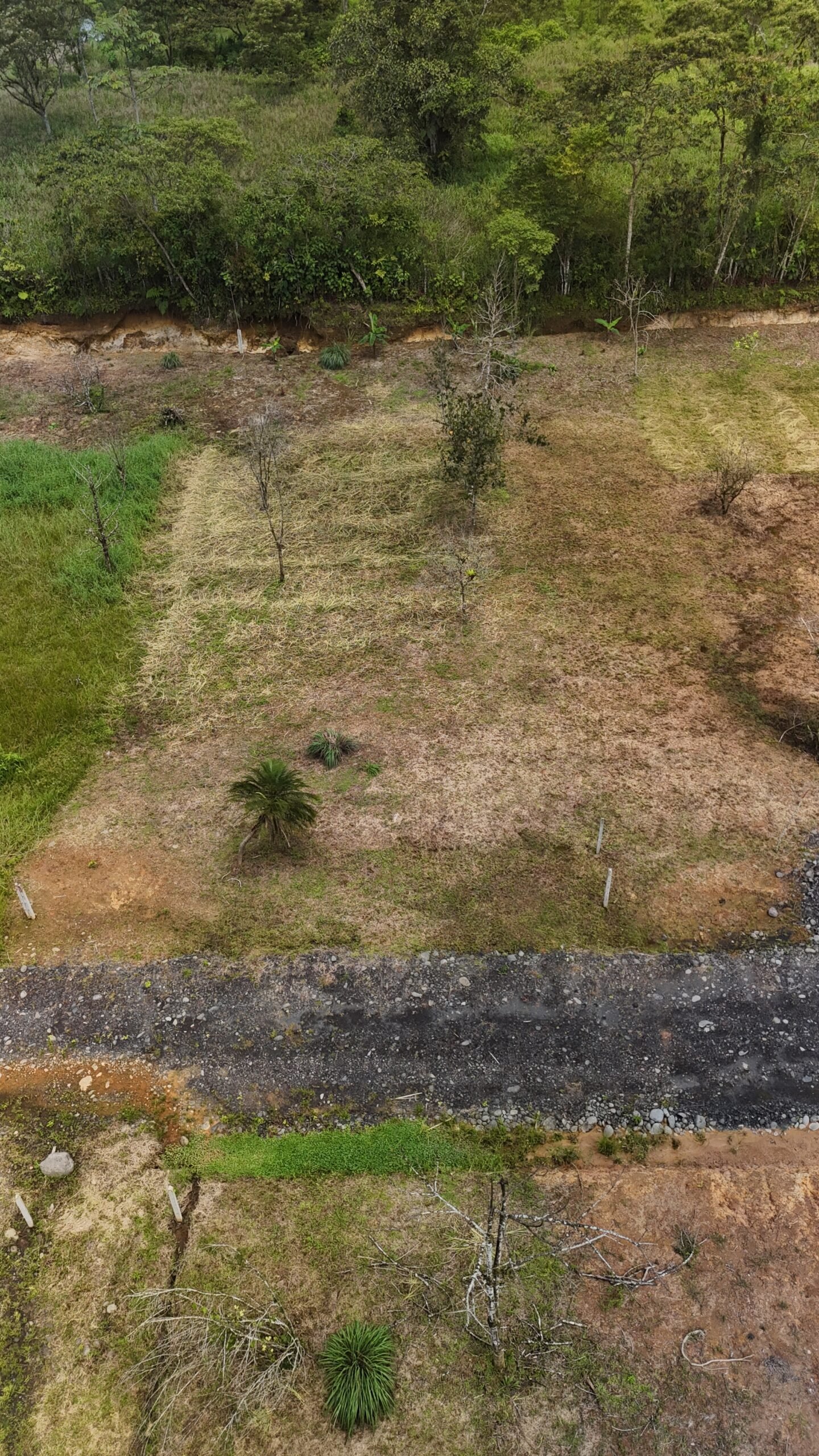Lotes de 1000 m² - Imagen 5