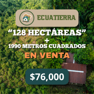 Finca de 128 Hectáreas + Lote de 1990 m²