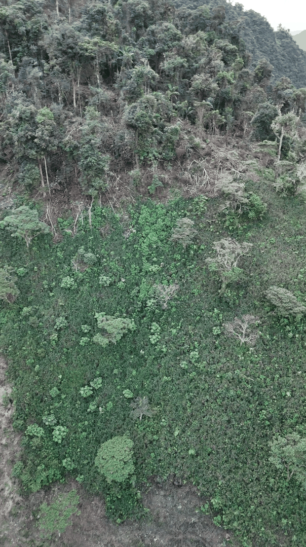 Finca de 16.44 Hectáreas en La Libertad, Santiago de Méndez, Morona Santiago — vista 6