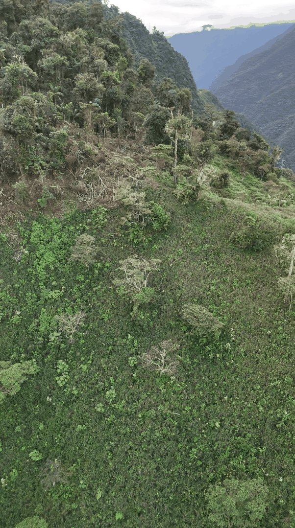Finca de 16.44 Hectáreas en La Libertad, Santiago de Méndez, Morona Santiago — vista 5