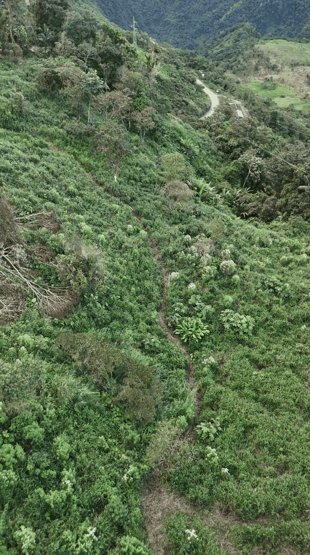 Finca de 16.44 Hectáreas en La Libertad, Santiago de Méndez, Morona Santiago — vista 4
