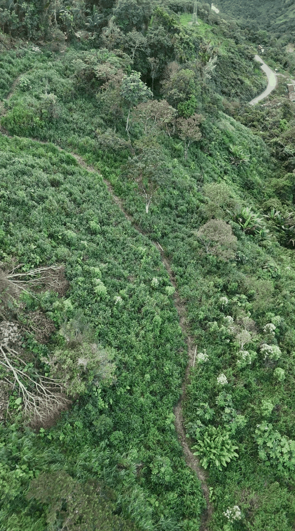 Finca de 16.44 Hectáreas en La Libertad, Santiago de Méndez, Morona Santiago — vista 3